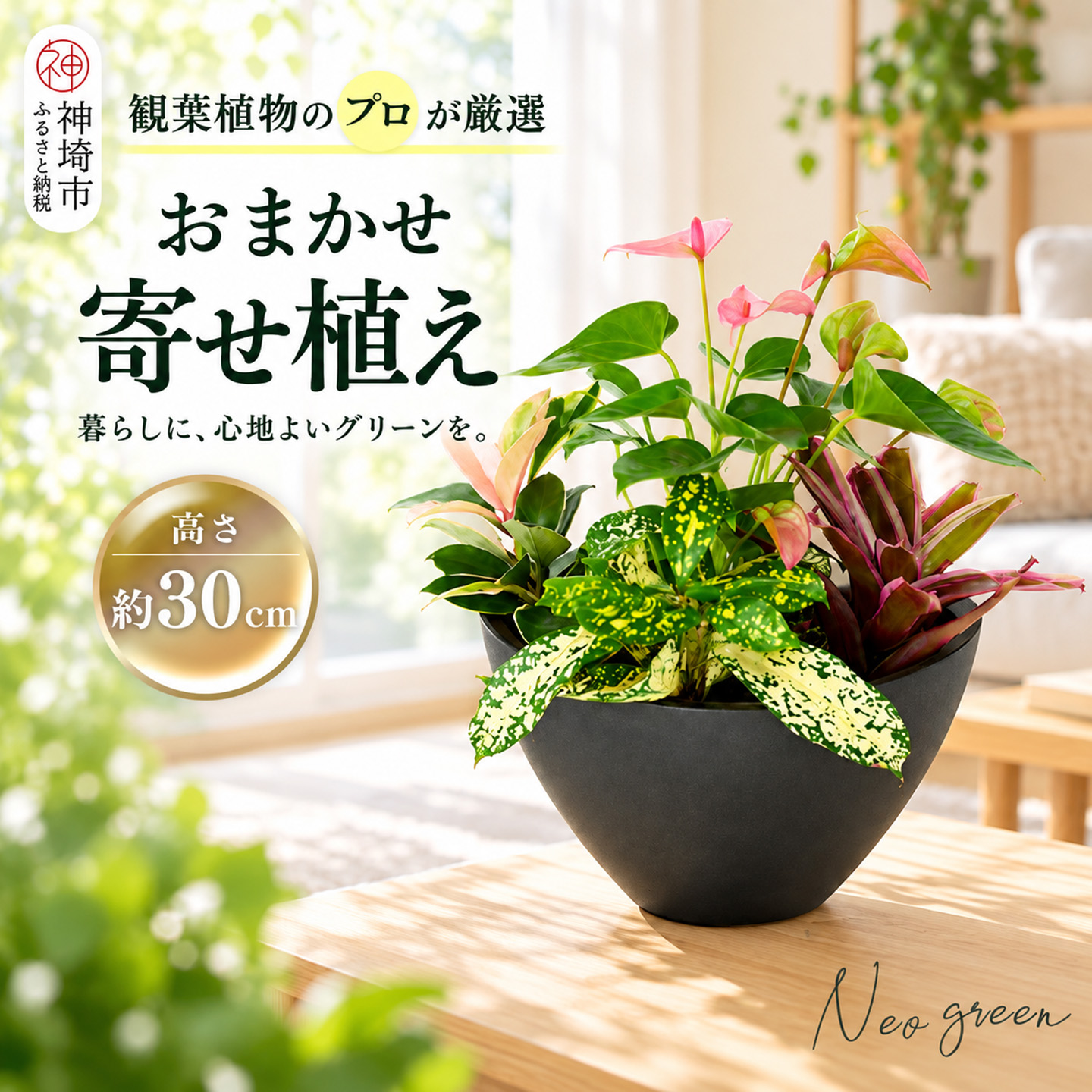 オリジナルアレンジ観葉植物 H086109