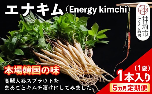 【5カ月定期便】【一子相伝】秘伝のエナキム(高麗人参スプラウト・キムチ)1袋1本入り【本場の味 秘伝の味 韓国 ピリ辛 健康志向 滋養強壮】(H104311)