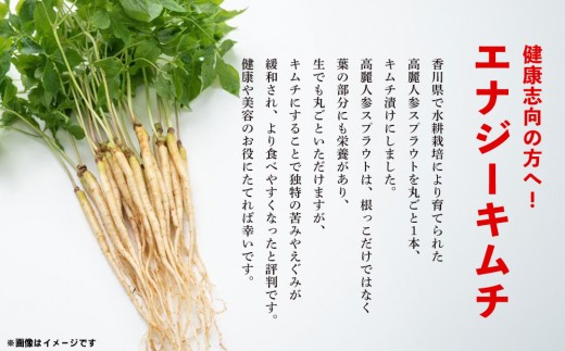 【5カ月定期便】【一子相伝】秘伝のエナキム(高麗人参スプラウト・キムチ)1袋1本入り【本場の味 秘伝の味 韓国 ピリ辛 健康志向 滋養強壮】(H104311)