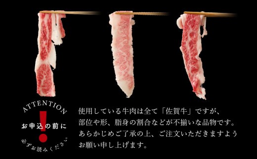 【訳あり】佐賀牛切り落とし1,000g【 冷凍 小分け 訳あり 訳アリ わけあり 肉 人気 規格外 不揃い 佐賀牛 A5 A4 黒毛和牛 国産 a5 a4  500g × 2パック】(H106232)