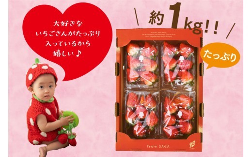 【先行受付 令和9年1月下旬より発送開始】特選いちご(いちごさん) 250g×4パック【ブランドいちご 朝採れ デザート スイーツ フルーツ 誕生日ケーキ バレンタイン】(H101107)