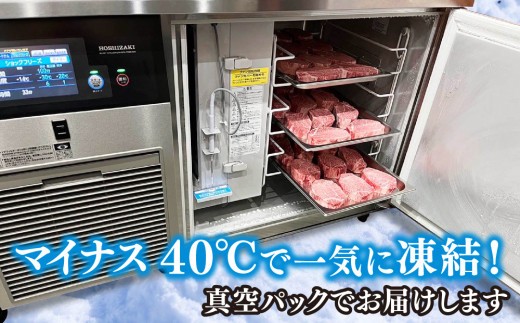 佐賀牛ヒレ(200g×3枚)+サイコロステーキ(400g)セット【佐賀牛 ブランド牛 国産牛 フィレ お祝い ご褒美 真空パック ふるさと納税】(H107107)
