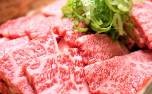 艶さし!【A4~A5】佐賀牛焼肉用 500g【肉 牛肉 ブランド牛 黒毛和牛 ふるさと納税】(H112111)
