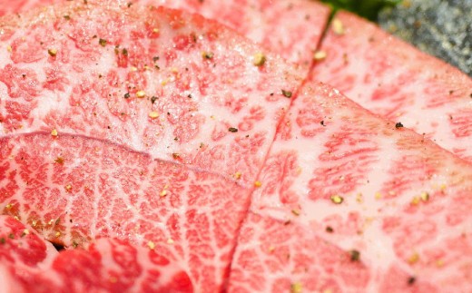 【厳選希少部位】【A4~A5】佐賀牛ミスジステーキ 約1kg(100g×10P)【肉 牛肉 ブランド牛 黒毛和牛 ステーキ肉 ふるさと納税】(H112121)