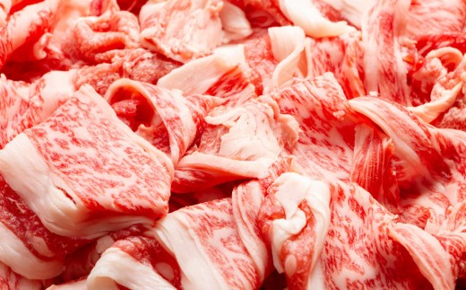 艶さし!【A4~A5】佐賀牛切り落とし 400g【肉 牛肉 ブランド牛 黒毛和牛 ふるさと納税】(H112142)