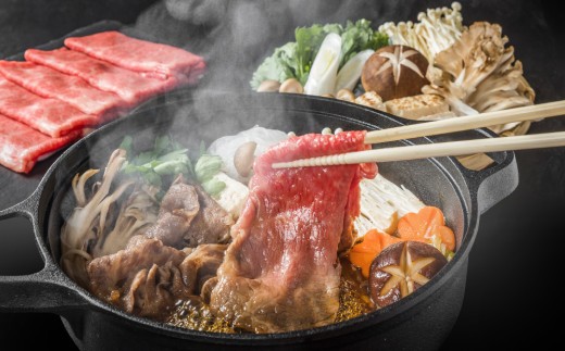艶さし!【A4~A5】佐賀牛切り落とし 500g【肉 牛肉 ブランド牛 黒毛和牛 ふるさと納税】(H112143)