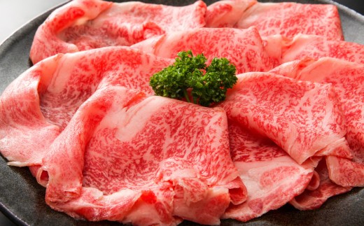 佐賀産和牛肩ロースしゃぶしゃぶすき焼き用 600g【肉 牛肉 ブランド牛 黒毛和牛 ふるさと納税】(H112280)