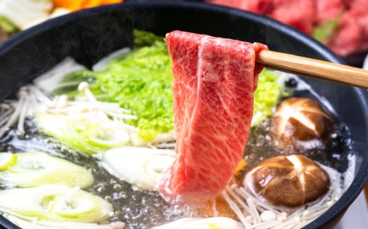 佐賀産和牛肩ロースしゃぶしゃぶすき焼き用 600g【肉 牛肉 ブランド牛 黒毛和牛 ふるさと納税】(H112280)