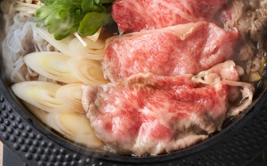 訳あり!艶さし!【A4~A5】佐賀牛しゃぶしゃぶすき焼き750gセット【肉 牛肉 ブランド牛 黒毛和牛 ふるさと納税】(H112283)