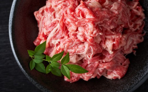 訳あり!艶さし!【A4~A5】佐賀牛しゃぶしゃぶすき焼き750gセット【肉 牛肉 ブランド牛 黒毛和牛 ふるさと納税】(H112283)