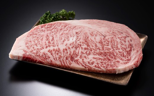 訳あり!【A4~A5】佐賀牛サーロインステーキセット 5kg(250g 2枚入り×10P)【肉 牛肉 ブランド牛 黒毛和牛 ふるさと納税】(H112130)