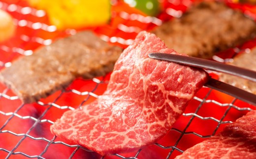 訳あり!艶さし!【A4~A5】佐賀牛焼肉切り落とし(肩ロース・バラ)1kg(500g×2P)【肉 牛肉 ブランド牛 黒毛和牛 ふるさと納税】(H112133)