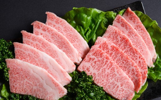 訳あり!艶さし!【A4~A5】佐賀牛焼肉切り落とし(肩ロース・バラ)500g【肉 牛肉 ブランド牛 黒毛和牛 ふるさと納税】(H112134)