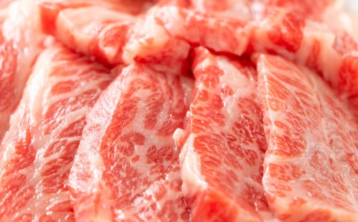 訳あり!艶さし!【A4~A5】佐賀牛焼肉切り落とし(肩ロース・バラ)500g【肉 牛肉 ブランド牛 黒毛和牛 ふるさと納税】(H112134)
