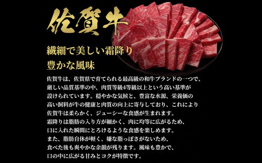 【和牛セレブ】佐賀牛 焼肉ロース 250g【肉 ブランド牛 和牛 牛肉 ふるさと納税】(H113104)
