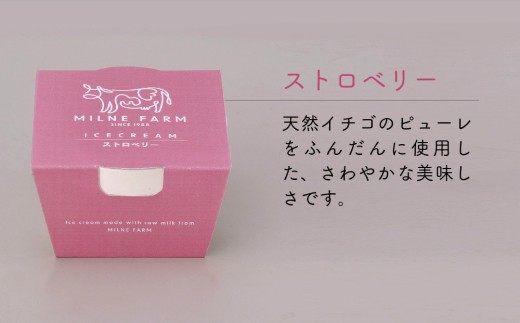 佐賀脊振高原ミルン牧場のアイスクリーム12個セット【手作り 濃厚 生乳 ミルク バニラ 抹茶 チョコ ストロベリー ラムレーズン】(H102125)