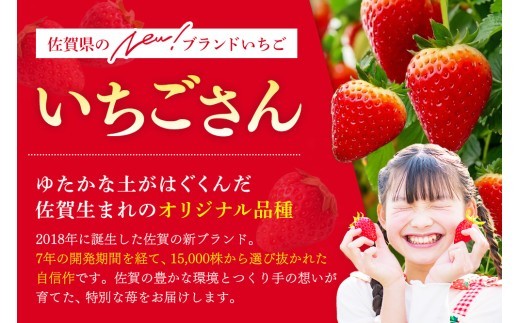 【2027年1月中旬より発送開始】いちごさん4パック【果物 くだもの フルーツ イチゴ 苺 佐賀】(H116133)