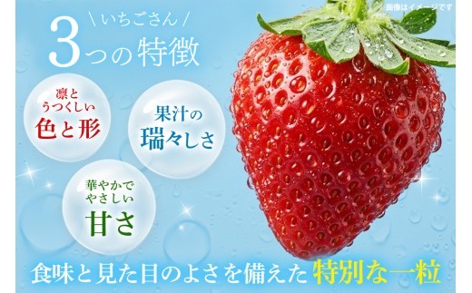 【2027年1月中旬より発送開始】いちごさん4パック【果物 くだもの フルーツ イチゴ 苺 佐賀】(H116133)
