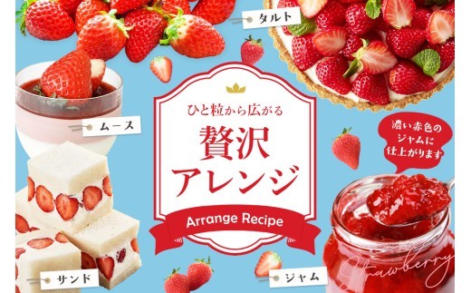 【2027年1月中旬より発送開始】いちごさん4パック【果物 くだもの フルーツ イチゴ 苺 佐賀】(H116133)