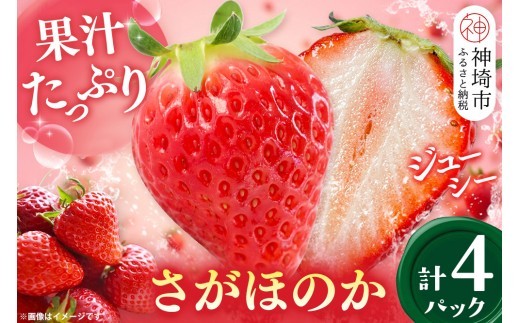 【2027年1月中旬より発送開始】さがほのか4パック【果物 くだもの フルーツ いちご イチゴ 苺 佐賀】(H116134)