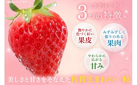 【2027年1月中旬より発送開始】さがほのか4パック【果物 くだもの フルーツ いちご イチゴ 苺 佐賀】(H116134)