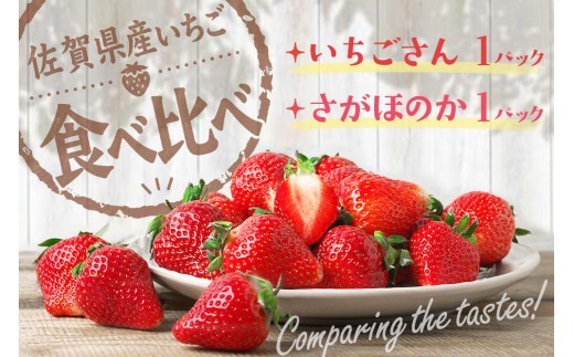【2027年1月中旬より発送開始】いちご食べ比べ 2パック(いちごさん・さがほのか)【果物 くだもの フルーツ イチゴ 苺 佐賀】(H116135)