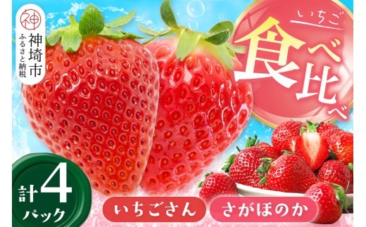 【2027年1月中旬より発送開始】苺(さがほのか・いちごさん)各2パック【果物 くだもの フルーツ イチゴ 佐賀】(H116136)