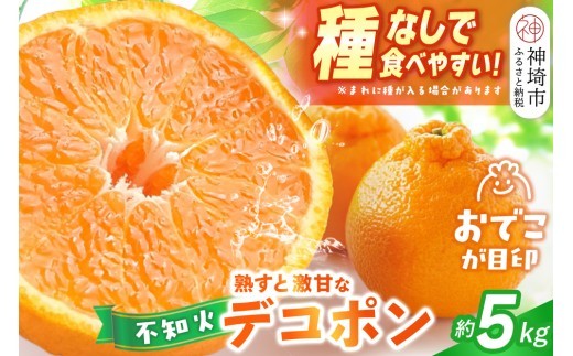 不知火 デコポン 約5kg