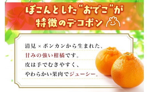 【2027年1月中旬より発送開始】不知火(デコポン) 約5kg【みかん 柑橘 清美 ポンカン フルーツ デザート】(H116137)