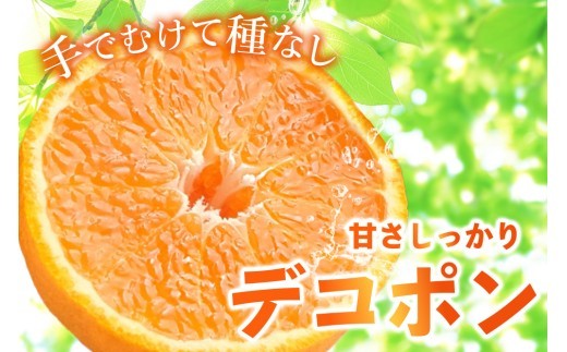 【2027年1月中旬より発送開始】不知火(デコポン) 約5kg【みかん 柑橘 清美 ポンカン フルーツ デザート】(H116137)