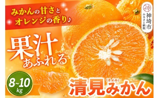 【2027年3月中旬より発送開始】清見(きよみ)みかん 8kg～10kg【みかん オレンジ 柑橘 フルーツ デザート】(H116139)