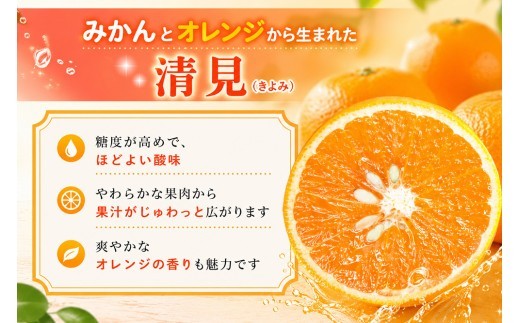 【2027年3月中旬より発送開始】清見(きよみ)みかん 8kg～10kg【みかん オレンジ 柑橘 フルーツ デザート】(H116139)