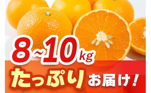 【2027年3月中旬より発送開始】清見(きよみ)みかん 8kg～10kg【みかん オレンジ 柑橘 フルーツ デザート】(H116139)