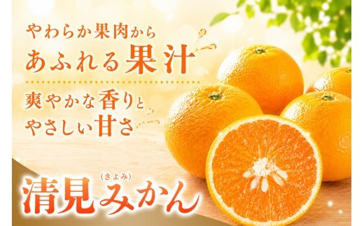 【2027年3月中旬より発送開始】清見(きよみ)みかん 8kg～10kg【みかん オレンジ 柑橘 フルーツ デザート】(H116139)