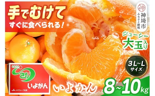 【2027年1月中旬より発送開始】いよかん 8～10kg(3L～Lサイズ)【みかん 柑橘 フルーツ デザート】(H116141)
