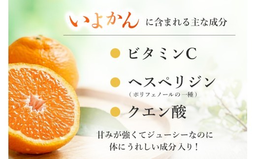 【2027年1月中旬より発送開始】いよかん 8～10kg(3L～Lサイズ)【みかん 柑橘 フルーツ デザート】(H116141)