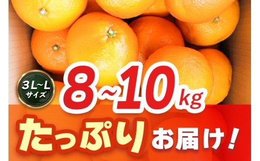 【2027年1月中旬より発送開始】いよかん 8～10kg(3L～Lサイズ)【みかん 柑橘 フルーツ デザート】(H116141)