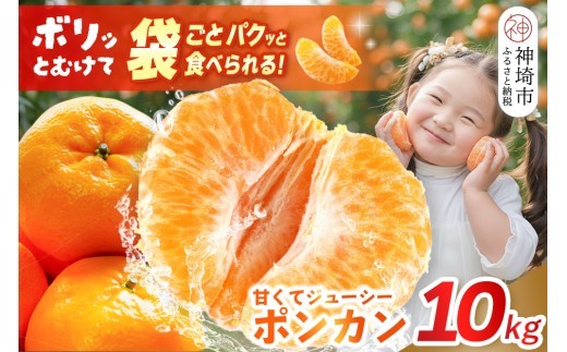 ポンカン 10kg