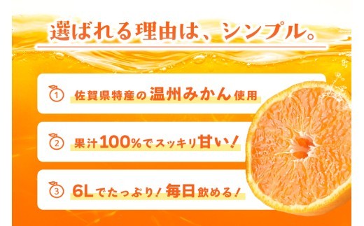 みかん100 1L×6本入り【みかんジュース 蓋付 天然 果汁100％】(H116234)