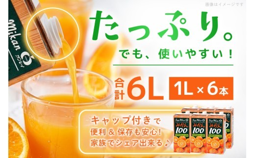みかん100 1L×6本入り【みかんジュース 蓋付 天然 果汁100％】(H116234)
