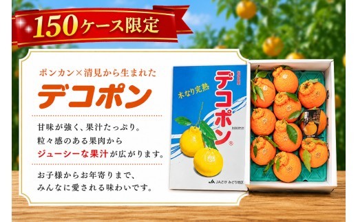 【2027年3月中旬より発送開始】【木なり完熟】デコポン 3kg 150ケース限定【みかん 柑橘 清美 ポンカン フルーツ デザート】(H116148)
