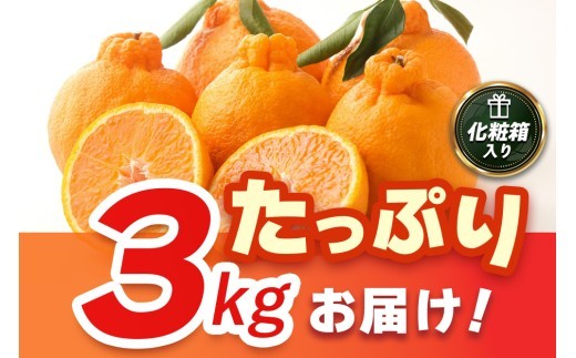 【2027年3月中旬より発送開始】【木なり完熟】デコポン 3kg 150ケース限定【みかん 柑橘 清美 ポンカン フルーツ デザート】(H116148)