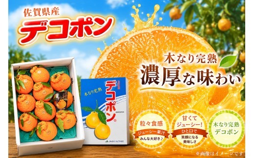 【2027年3月中旬より発送開始】【木なり完熟】デコポン 3kg 150ケース限定【みかん 柑橘 清美 ポンカン フルーツ デザート】(H116148)