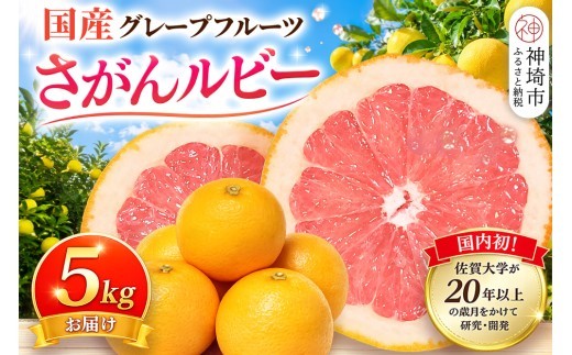 さがんルビー 5kg