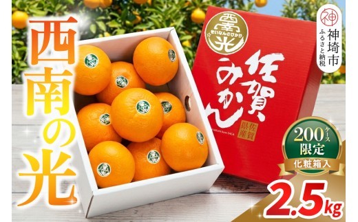 【2026年12月上旬より発送開始】西南の光 2.5kg(化粧箱入り)【みかん 柑橘 フルーツ デザート βクリプトキサンチン 手土産】(H116150)