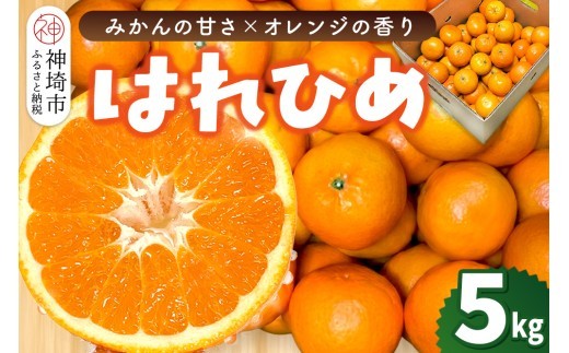【2026年12月上旬より発送開始】はれひめ 5kg【みかん オレンジ 柑橘 フルーツ デザート さっぱり リフレッシュ】(H116151)