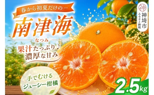 南津海 なつみ みかん 2.5kg