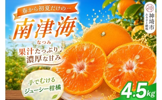 南津海 なつみ みかん 4.5kg