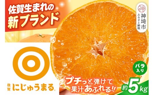 【2027年3月上旬より発送開始】にじゅうまる 約5kg バラ入り【佐賀県 みかん 柑橘 果物 くだもの フルーツ】(H116162)