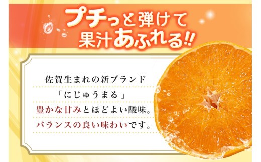 【2027年3月上旬より発送開始】にじゅうまる 約5kg バラ入り【佐賀県 みかん 柑橘 果物 くだもの フルーツ】(H116162)